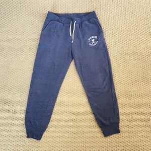 Rogue Fitness Mens Joggers Blue size Large